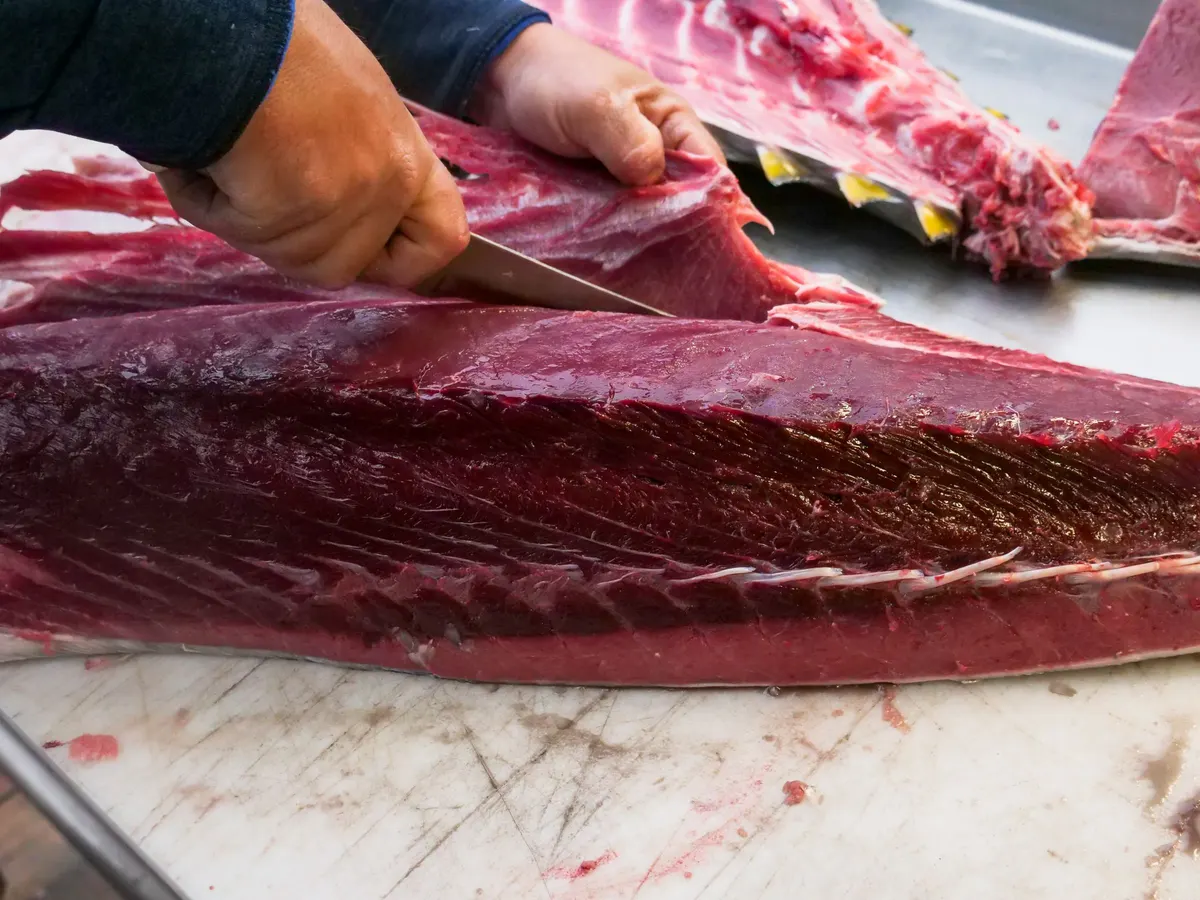 Un lomo de atún fileteado sobre una mesa de corte, con el espinazo al lado