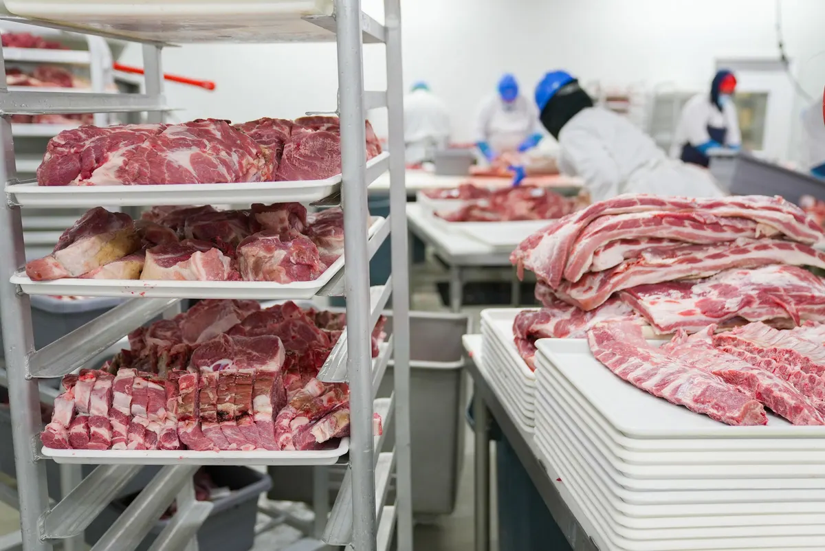 Cortes de carne porcionados en bandejas dentro de una sala de despiece