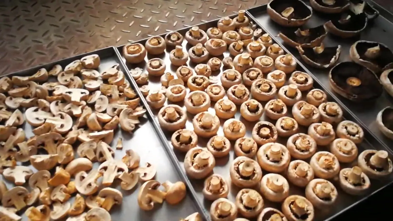 Tres bandejas de champiñón liofilizado, una al lado de otra: rodajas a la izquierda, sombreros enteros en una sola capa en el centro y portobello entero a la derecha