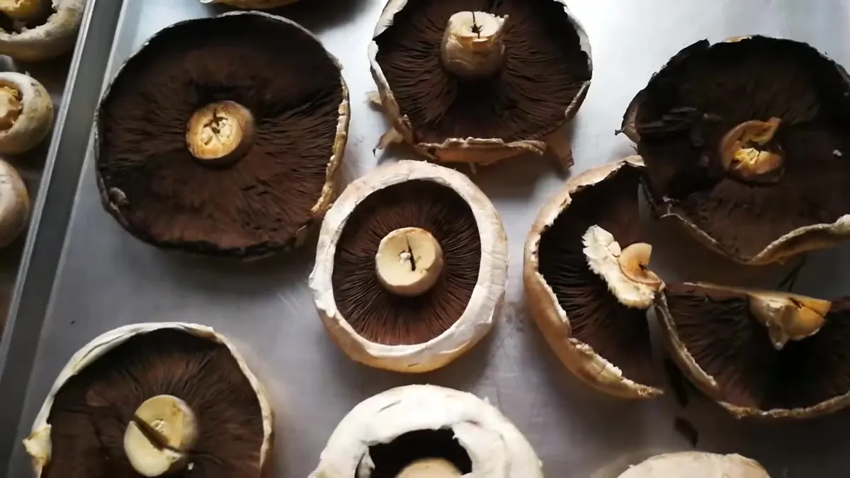Portobello entero liofilizado en una bandeja, con las láminas intactas y los bordes del sombrero abiertos