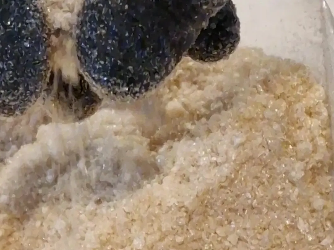 Caldo de vacuno liofilizado grueso cayendo de una mano enguantada a una bolsa transparente