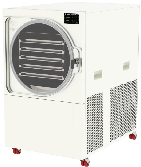 LEO-010